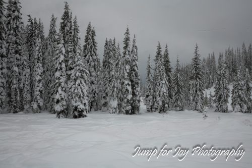 Lolo Pass Heart of Winter